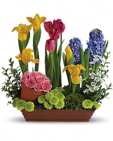 Spring Favorites, another view