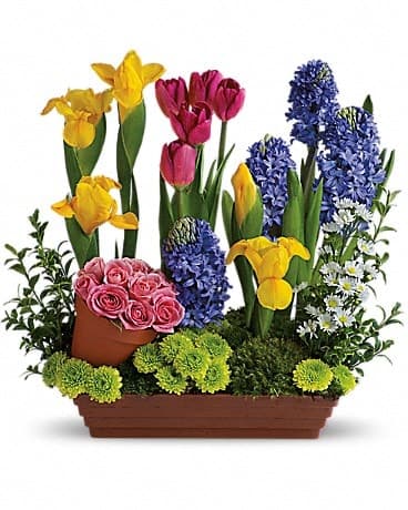 Spring Favorites, another view