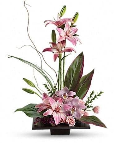 Imagination Blooms with Cymbidium Orchids, another view