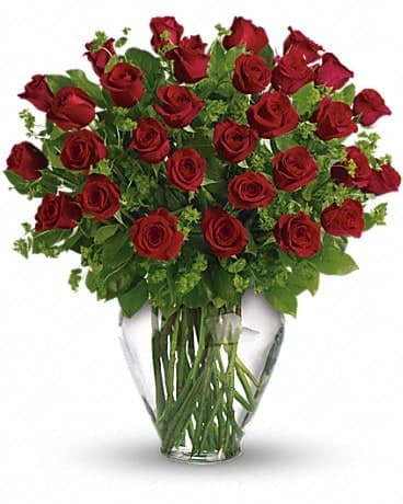My Perfect Love - Long Stemmed Red Roses, another view
