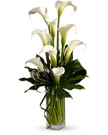 My Fair Lady by Teleflora, another view