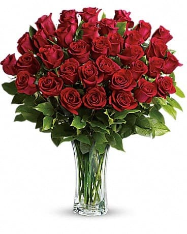 Love and Devotion - Long Stemmed Red Roses, another view