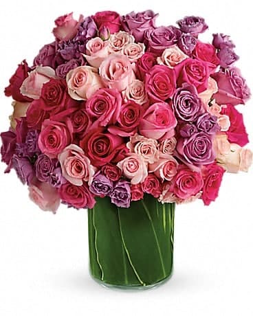 Rose Rapture, another view