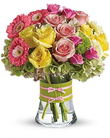 Fashionista Blooms, another view